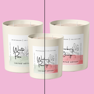 Winter Pine & Cranberry & Orange Gift Set Bundle