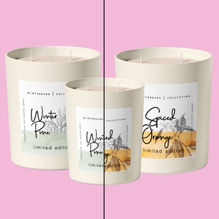 Winter Pine & Spiced Orange Gift Set Bundle