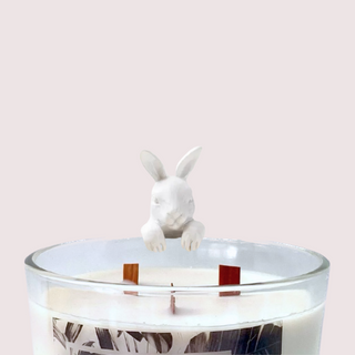 Extra Large candle with climbing Easter Bunny, Lime Basil and Mandarin scent