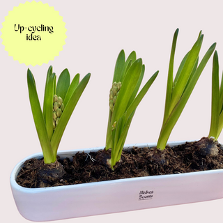 Multi-wick Extra Large 2kg Statement Candle